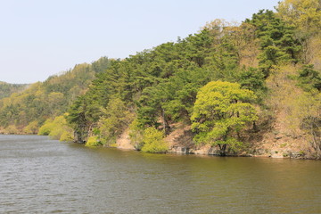 봄날 호수가의 아름다운 풍경