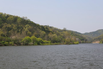 봄날 호수가의 아름다운 풍경
