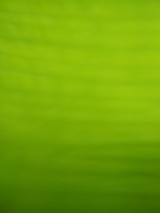 green abstract background