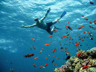 Young man snorkeling underwater,red sea , Egypt .
 - obrazy, fototapety, plakaty