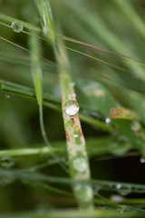 Water droplet