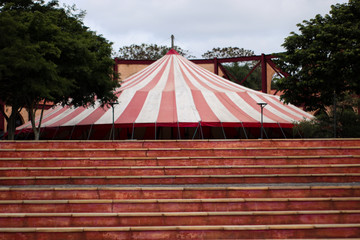 circus tent in the garden