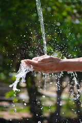Water pouring in kid two hand on nature background. Hands with water splash.