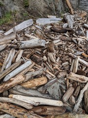Forgotten Driftwood