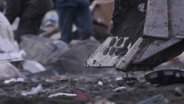 stock video footage gulls at the landfill garbage dump