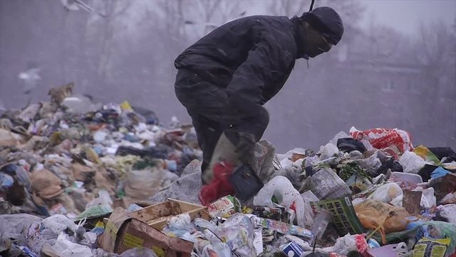 stock video footage gulls at the landfill garbage dump