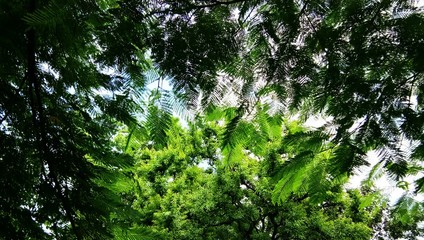 Keep your love of nature, for that, is the true way to understand art more and more.