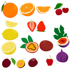 Fruit vector icon set isolated on white background