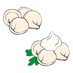 pelmeni or dumplings in cartoon style