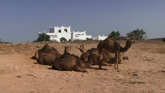 Oman landscape arid desert land 