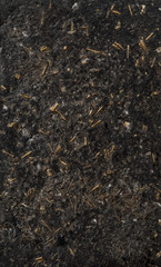 Fototapeta premium abstract background, wall texture, mortar background, cement texture 