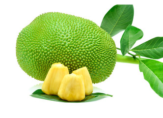 ripe jack fruits isolated on white background