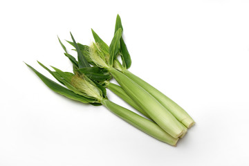 ヤングコーン、白い背景