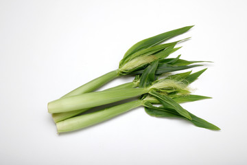 Obraz premium ヤングコーン、白い背景