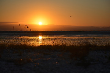 Rising sun in the Robert Findlay Wildlife Reserve at low tide, New Zealand