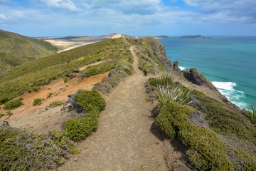 Walk along the edge of a cliff, New Zealand