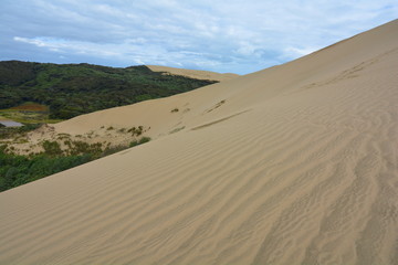 Fes on the edge of Giant Sand Dunes, New Zealand