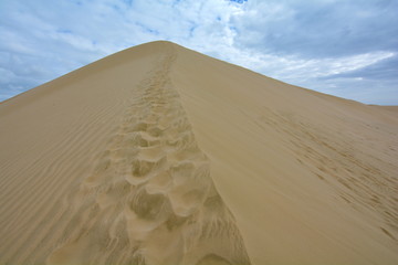 Journey to the sand dune in Giant Sand Dunes, New Zealand