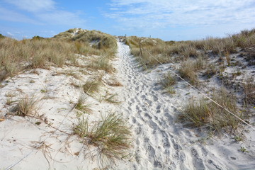 Path in white sand at Rarawa Beach, New Zealand