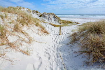 Sandy path to Rarawa Beach, New Zealand
