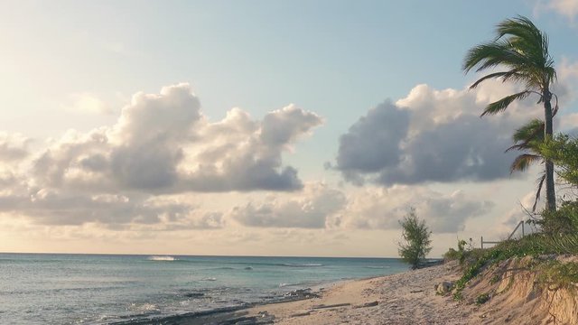 Tropical Caribbean island shoreline of Grand Turk, Turks & Caicos Islands. Dog popping out of the bushes towards the end - 4k