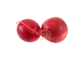 radish isolated on white background