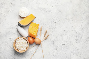 Different dairy products without lactose on light background