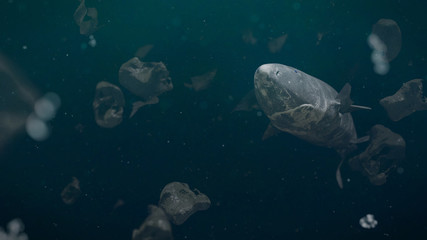 plastic pollution, Greenland shark surrounded by dangerous trash  © dottedyeti