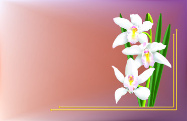 Naklejka na ściany i meble Greeting card, or wedding invitation card, with beautiful white cymbidium orchids. 