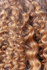 Background texture of blond curly hair. Shallow depth of field. Selective focus. Vertical.