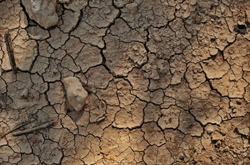 Dry cracked earth during a drought. Texture. A characteristic drawing of the earth in the desert.