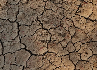 Dry cracked earth during a drought. Texture. A characteristic drawing of the earth in the desert.