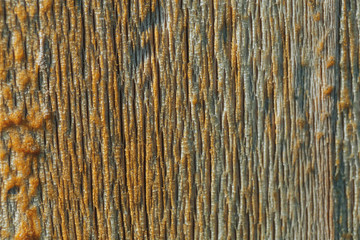 wood structure close-up, wood background, wood processing from corrosion