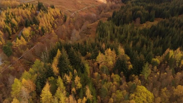 Aerial view of beautiful forest painted in autumn colors in the Scottish Highlands.