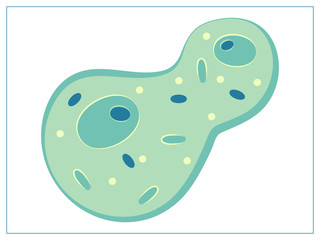 Vector flat illustration with a bacteria, virus, cells, germs or epidemic bacillus. For web, logo, app, UI. Isolated