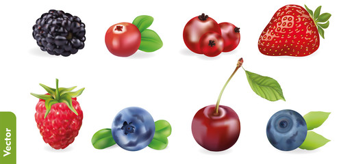 Berry realistic set with strawberry, raspberry, blackberry, cherry, currant, cranberry, bilberry and blueberry. 3d isolated vector illustration.