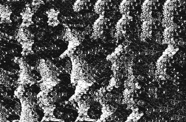Distress snake skin grunge texture. Black and white background.