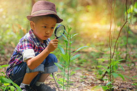Happy little boy with magnifying glass explorer and learning the nature at home backyard