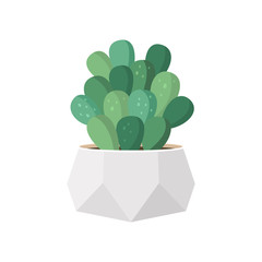 Cactus and succulent in pot domestic colorful cartoon vector illustration. Decorative flower plant. Isolated icon cacti