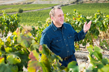 Man holds grapes cluster