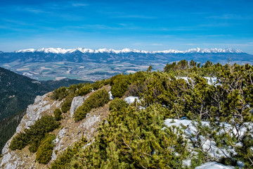 Fototapeta na wymiar West Tatras from Low Tatras mountains, Slovakia, hiking theme