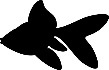 Vector illustration of the goldfish