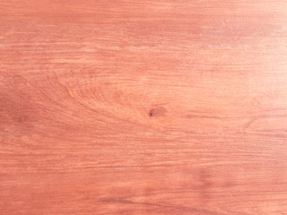 Hardwood maple texture background for design. Copy space for work