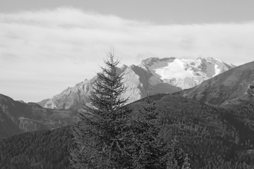 Fototapeta premium Dolomite Mountains and Forest - Dolomites, Italy, Europe.