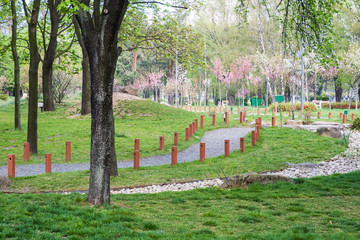 Obraz na płótnie Canvas Green city park. Spring morning at park