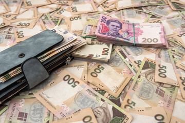 women's wallet money in cash Ukrainian hryvnia