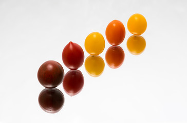 Tomates cerises multicolore