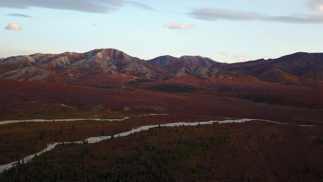 Aerial panoramic of lush and vibrant fall colored tundra crisscrossed by glacier fed streams near Denali National Park, Alaska