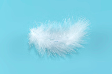 Single soft white feather on light blue background. Light soft symbol