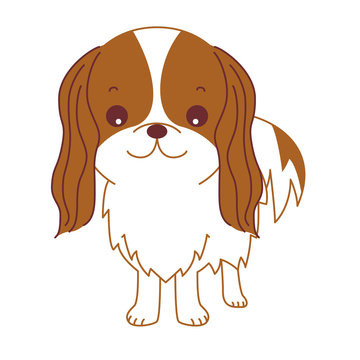 キャバリア Images Browse 1 808 Stock Photos Vectors And Video Adobe Stock